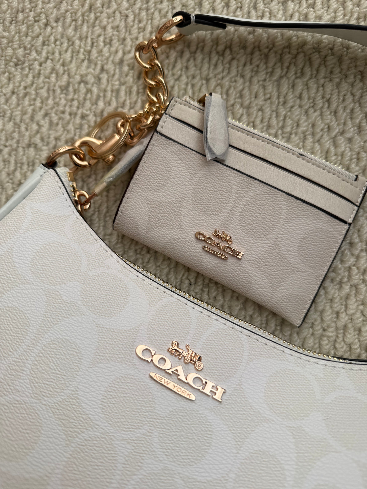 【Top】Teri + Wallet  gift box