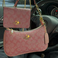 【C】Teri + Mini Chain Bag Set