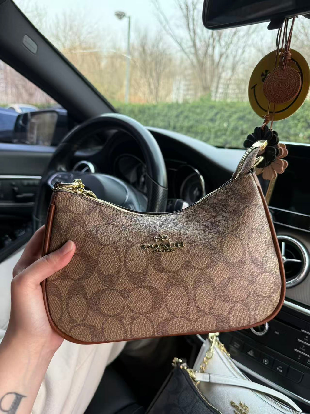 Teri bag