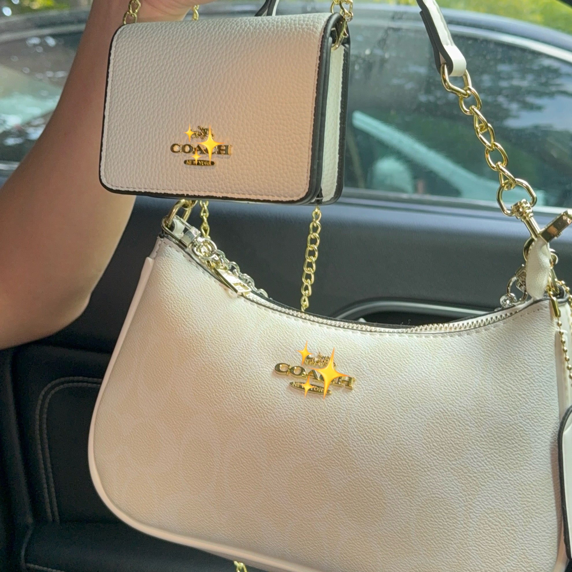 【C】Teri + Mini Chain Bag Set