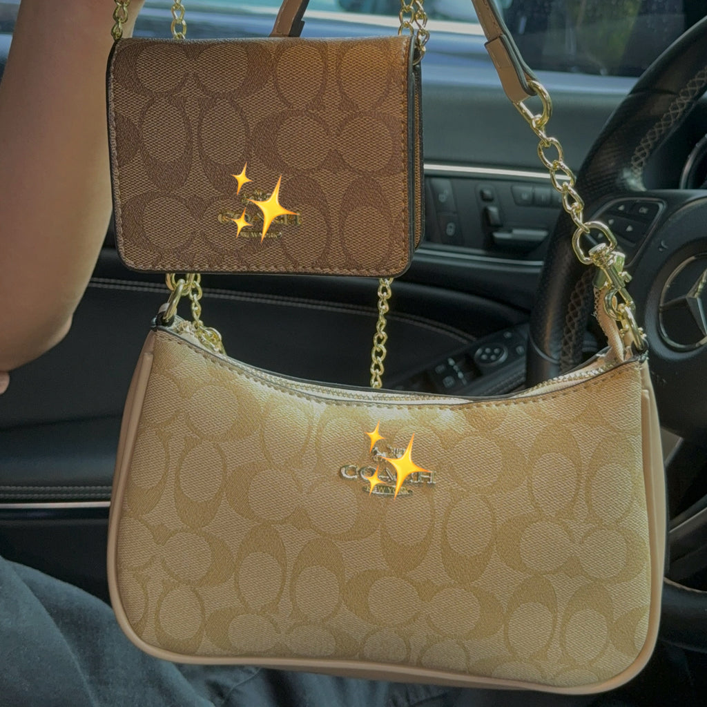 【C】Teri + Mini Chain Bag Set