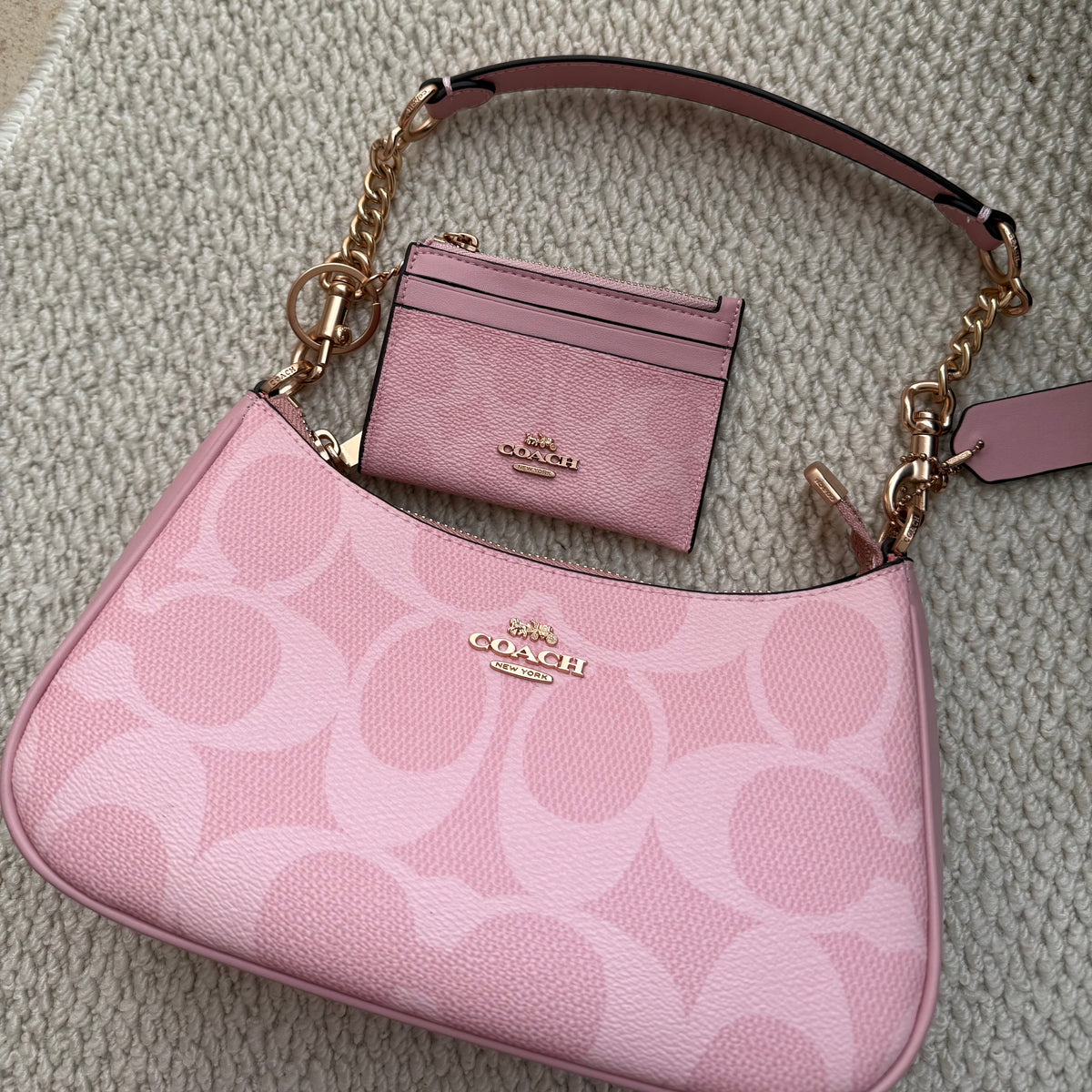 【Top】Teri + Wallet  gift box