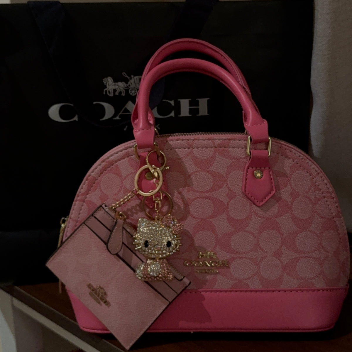 Sierra bag with charm