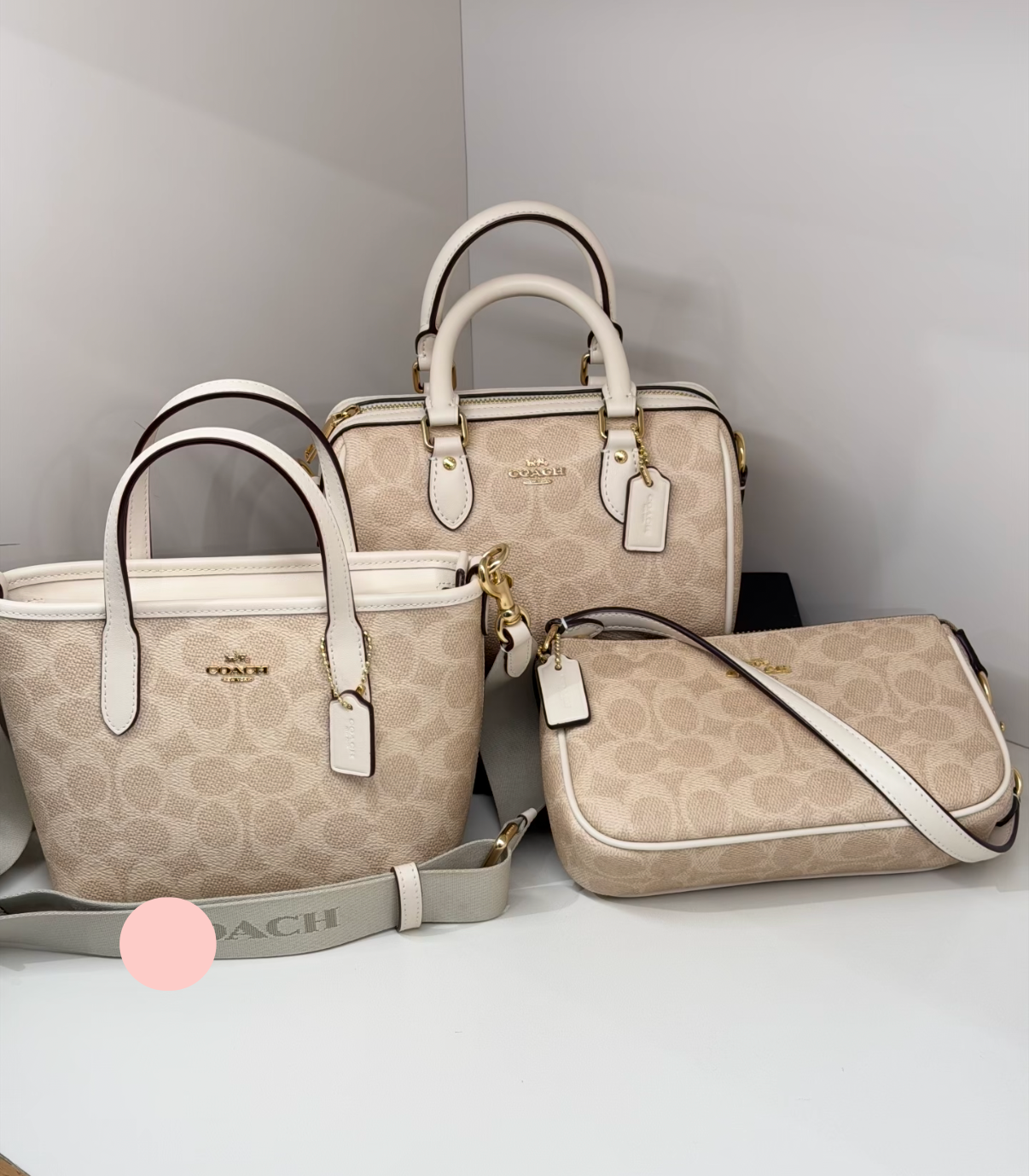 Vanilla C Bag【TOP】Gift Box Edition