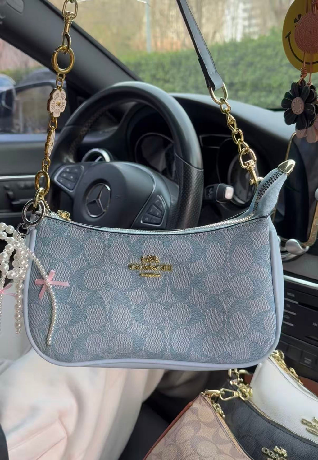 Teri bag