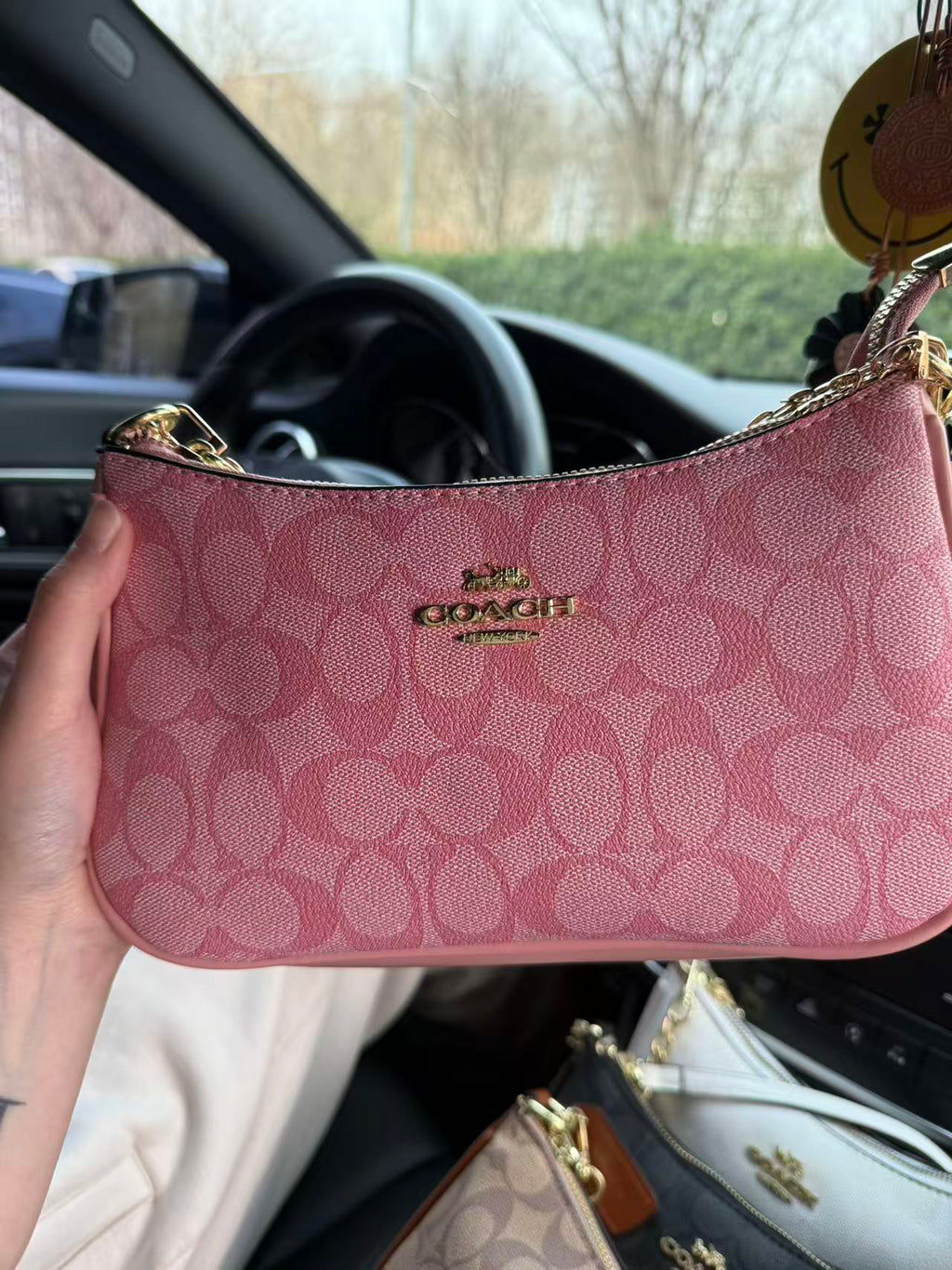 Teri bag
