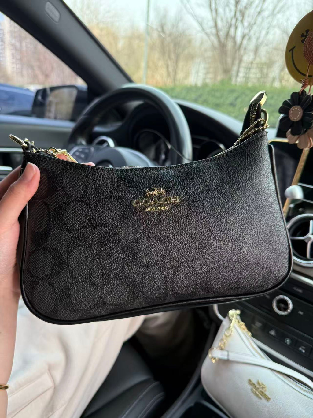 Teri bag